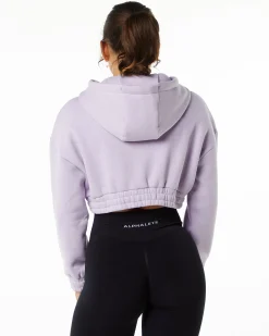 Hot Classic Capital Crop Hoodie Women Hoodies & Sweatshirts