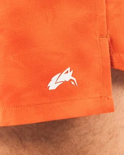 Clearance Dynamic Short Shorts