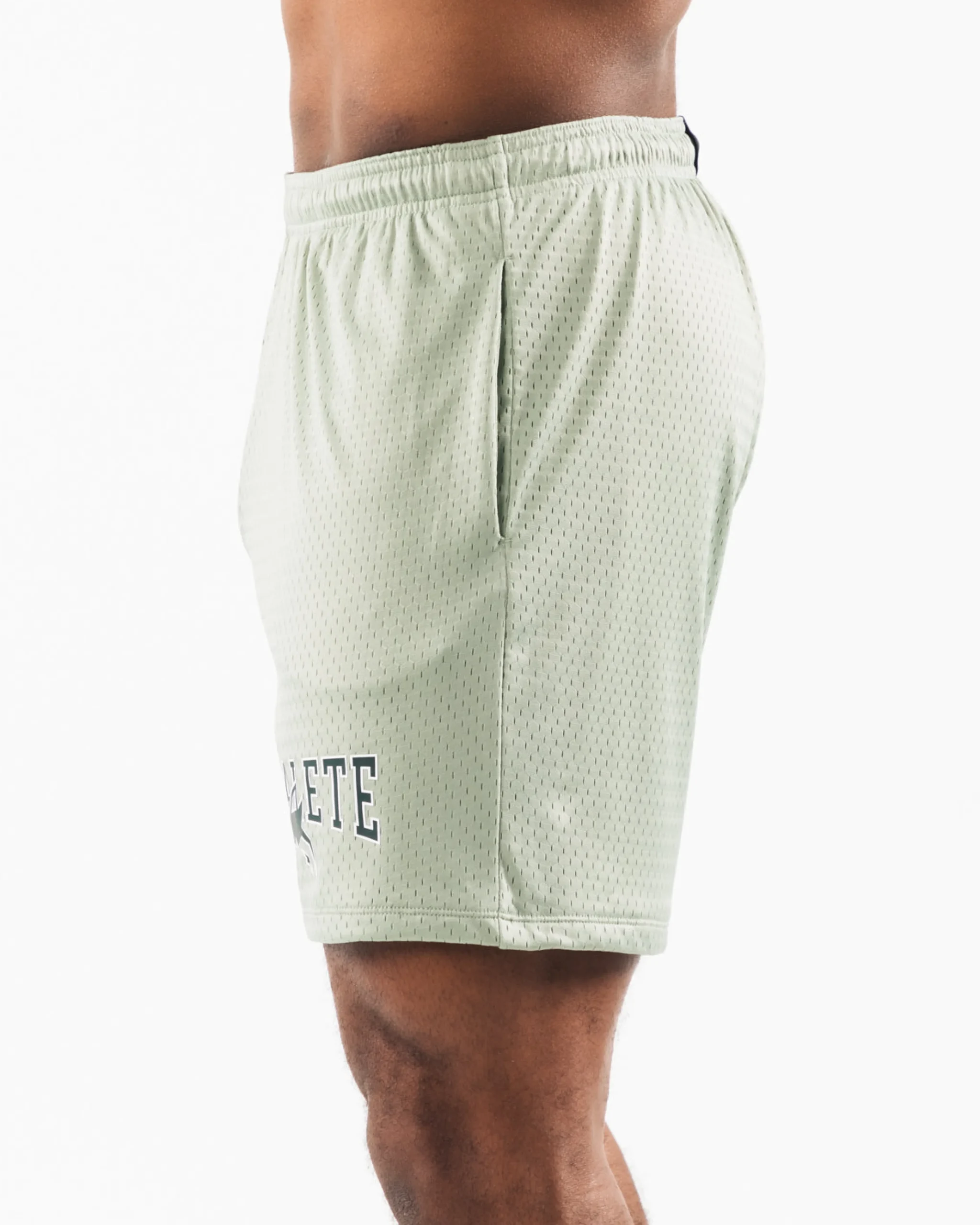 Online Wolf Head Mesh Short 6" Shorts